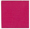 Fuchsia Fuchsia