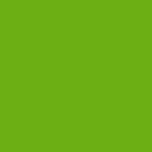 Aniseed Aniseed